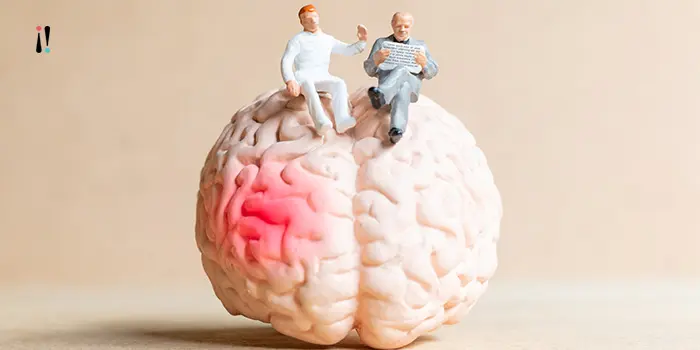 avc em pessoas jovens: como a reabilitação da fala com neuromodulação pode favorecer a recuperação da comunicação 5 Neuromodulação para afasia pós AVC em jovens no auxílio da reabilitação fonoaudiológica